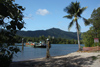 Daintree River