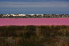 Pink Lake